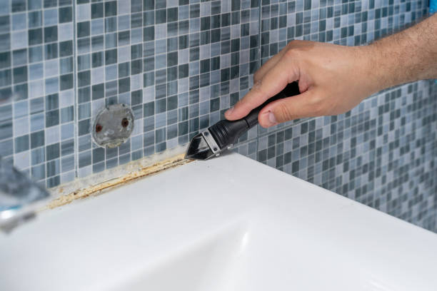 Best Local Mold Removal Service  in Thomasboro, IL